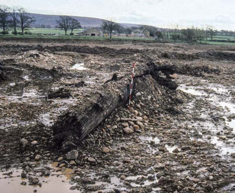 an excavated field with a waterlogged and preserved large tree trunk. area around is extremely muddy and slightly flooded 